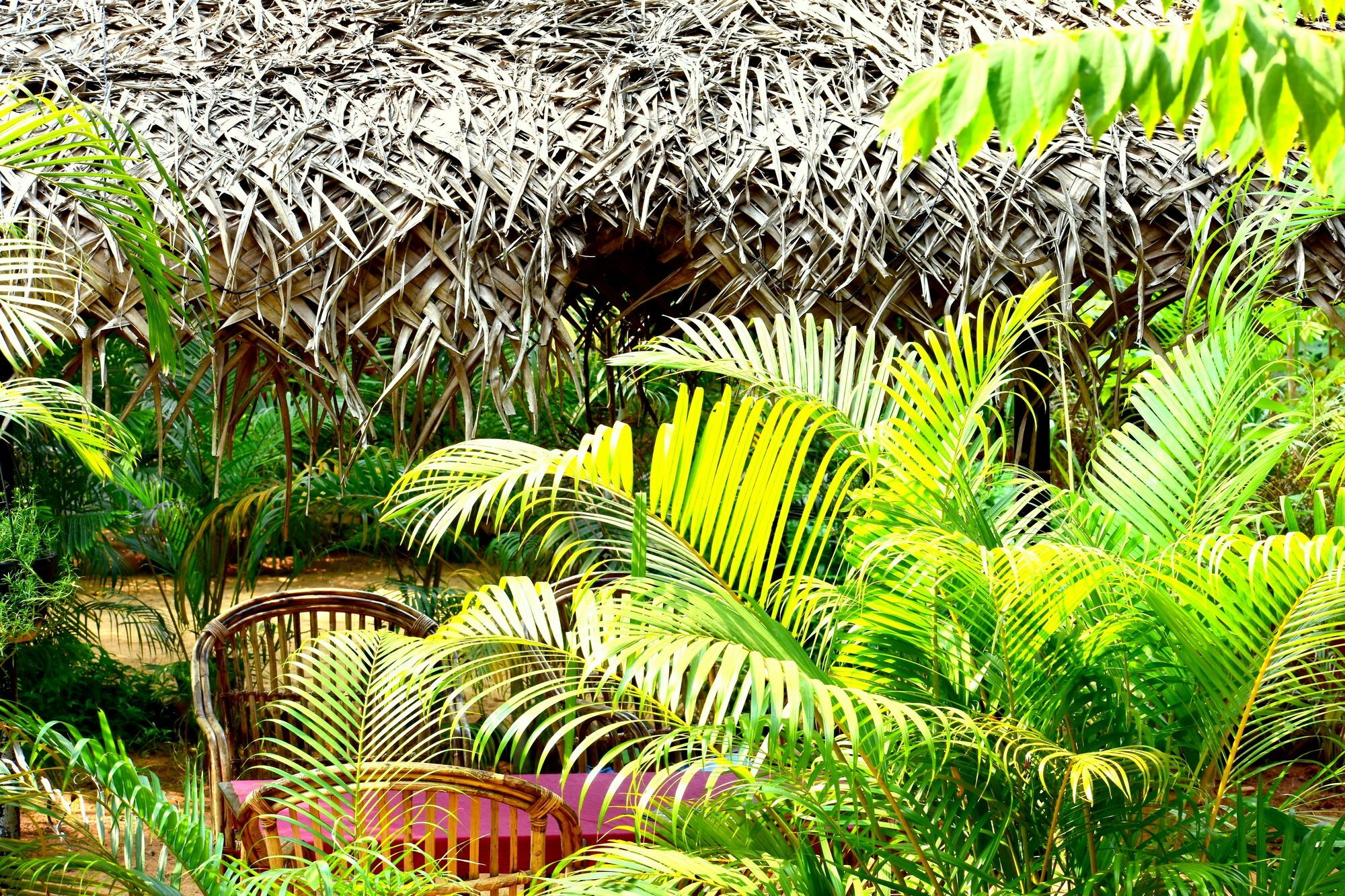 Patnem Garden Resort Patnem Beach Εξωτερικό φωτογραφία